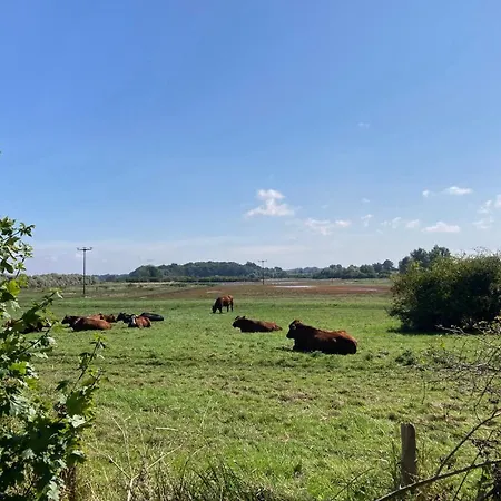 Lejlighed Bades Huk Haus 7 27 - Og Hohen Wieschendorf